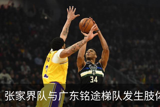 张家界队与广东铭途梯队发生肢体冲突，湖南省足协：暂停涉事人员参加省内一切足球活动